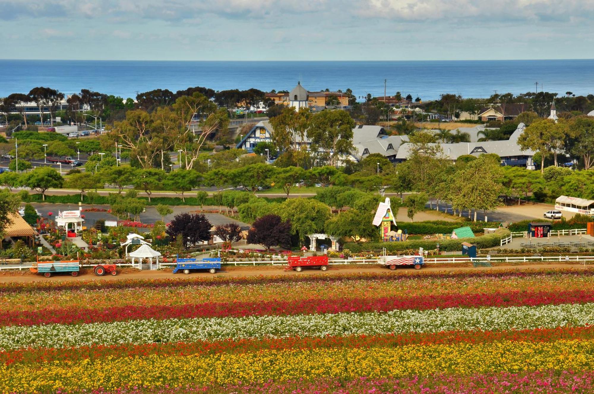 Grand Pacific Palisades Resort Carlsbad Exterior foto